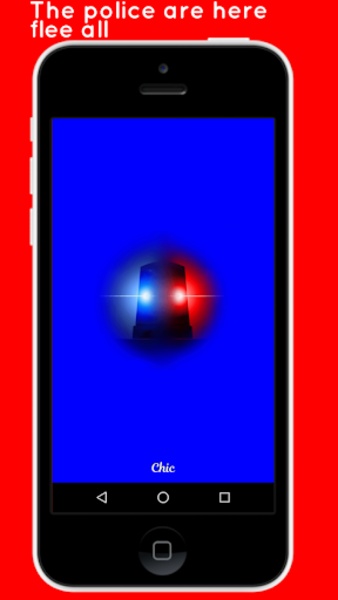 Color Lights Flashlight - Preview 4