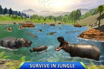 Wild Hippo Beach Simulator screenshot 18