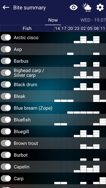 Fishing forecast - Preview 2