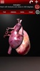 Circulatory System in 3D (Anatomy) screenshot 23