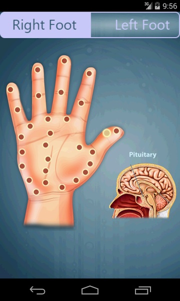 Reflexology - Preview 2