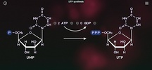 BiochemCity screenshot 2