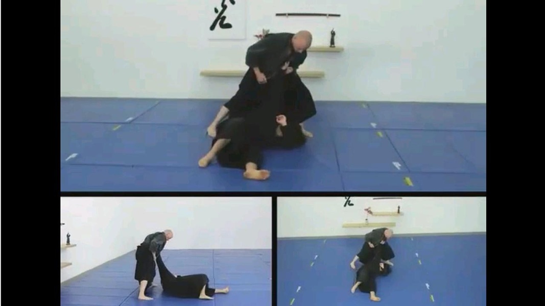 Ninjutsu- Free - Preview 2