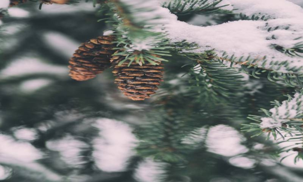 The most beautiful pictures and backgrounds for winter and snow - Preview 3