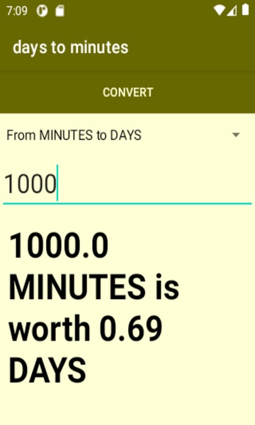days to minutes converter - Preview 2
