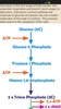 A Level Biology screenshot 2