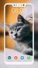 Cat Wallpaper HD screenshot 3