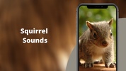 Squirrel Sounds HD screenshot 10