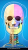 Skull Anatomy Pro. screenshot 16