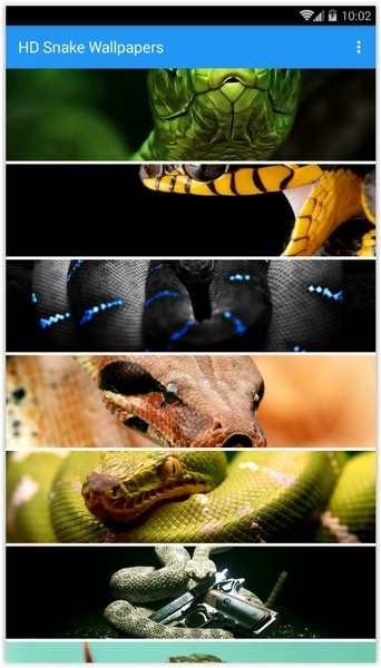 HD Snake Wallpapers - Preview 1