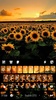 Sunflower Fields Theme screenshot 1