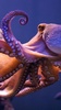 Octopus Live Wallpaper screenshot 5