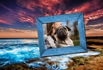 Scenery Photo Frames Pro screenshot 5