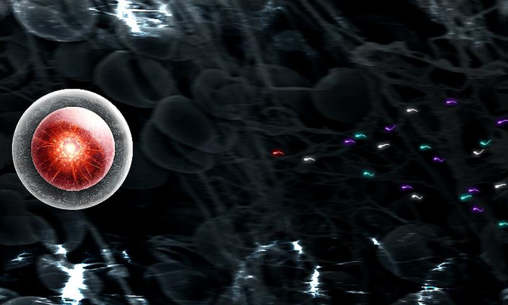 Sperm Wars - Preview 2