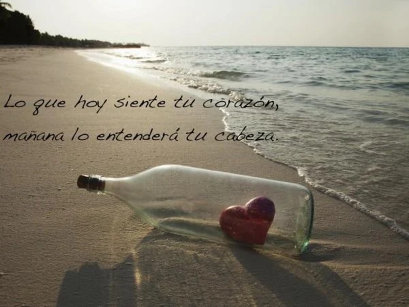 Fondos frases - Preview 3