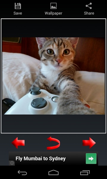 Funny Selfies - Preview 2
