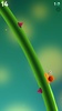 Snail Ride screenshot 12