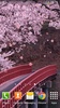 Sakura screenshot 6