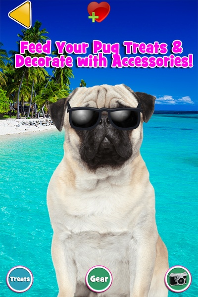 Talking Pug - Preview 10