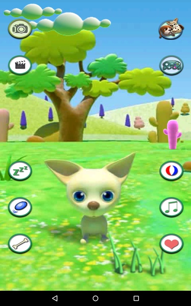 TalkingChihuahua - Preview 1