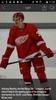 Red Wings screenshot 1