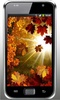 Autumn Sun HD live wallpaper screenshot 2