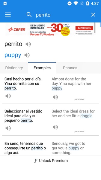 SpanishDict - Preview 14