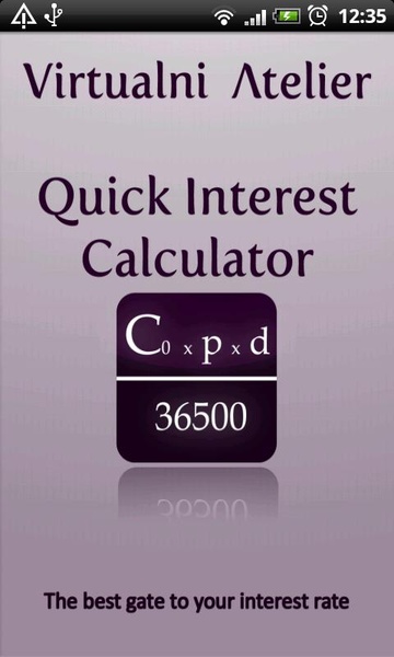 Quick Interest Calculator - Preview 5