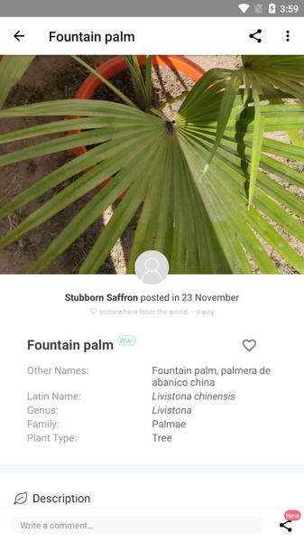 PictureThis - Preview 20