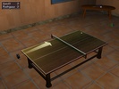 Table Tennis Pro screenshot 3