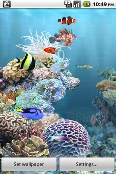 aniPet Aquarium LiveWallpaper - Preview 5