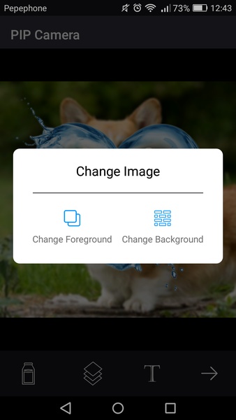 PIP Camera - Preview 6