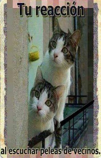 Imagenes de humor 3 - Preview 4