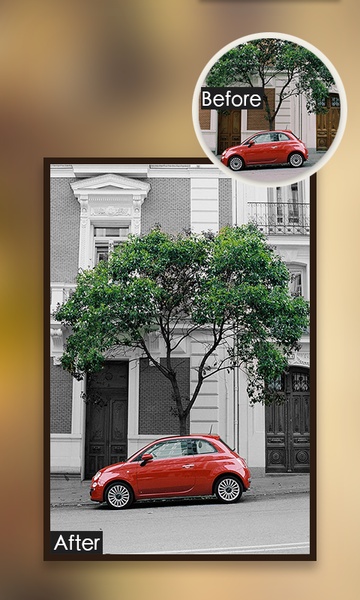 ColorPhoto - Preview 2