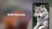 Wolf Sounds screenshot 10