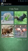 Animal Quiz screenshot 5