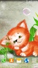 Foxy Cute Live Wallpaper screenshot 8