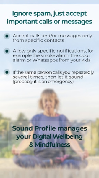 Sound Profile - Preview 2