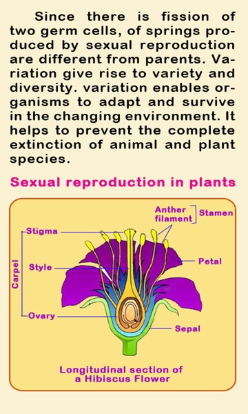 Biology III - Preview 2
