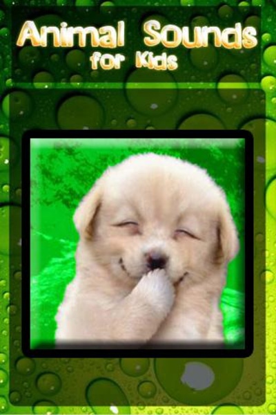 AnimalTest - Preview 1