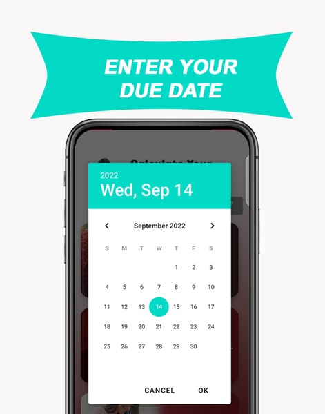 Due Date Calculator Pregnancy - Preview 3