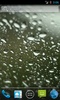 Rainy Day HD screenshot 4