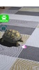 AR 3D Animals screenshot 5