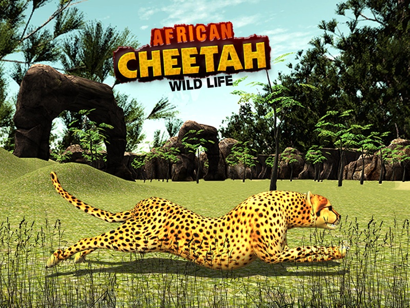 African Cheetah Wildlife - Preview 2