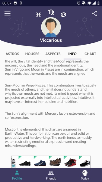 Horos Natal Chart - Preview 6