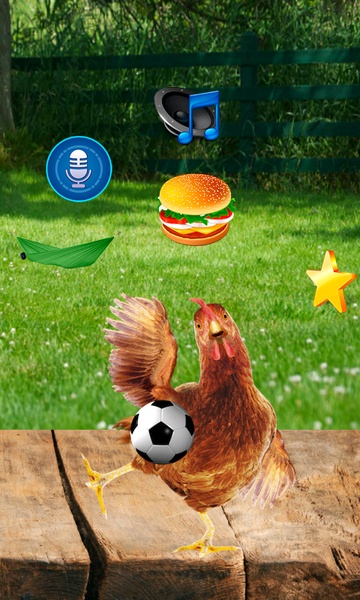 Real Talking Chicken - Preview 4