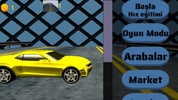 Car Simulation Offline screenshot 14