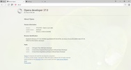 Opera Developer screenshot 4