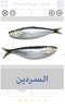 أنواع الأسماك و صور أسماك screenshot 3