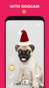 DogCam - Dog Selfie Filters an screenshot 7